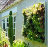 landscape in chennai,chennai landscape architects, chennai gardening, chennai swimming pool maintenance, chennai swimming pool designers, chennai terrace gardens, 