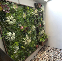 landscape in chennai,chennai landscape architects, chennai gardening, chennai swimming pool maintenance, chennai swimming pool designers, chennai terrace gardens, 