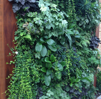 landscape in chennai,chennai landscape architects, chennai gardening, chennai swimming pool maintenance, chennai swimming pool designers, chennai terrace gardens, 
