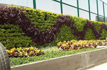 chennai swimming pool designers, garden maintenance in chennai,chennai landscape designers, chennai swimming pool designers,landscape in chennai,swimming pool maintenance in chennai,chennai garden maintenance,chennai landscape architects,
